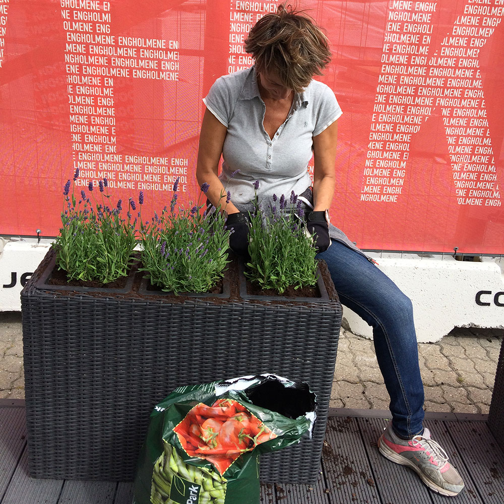 planter